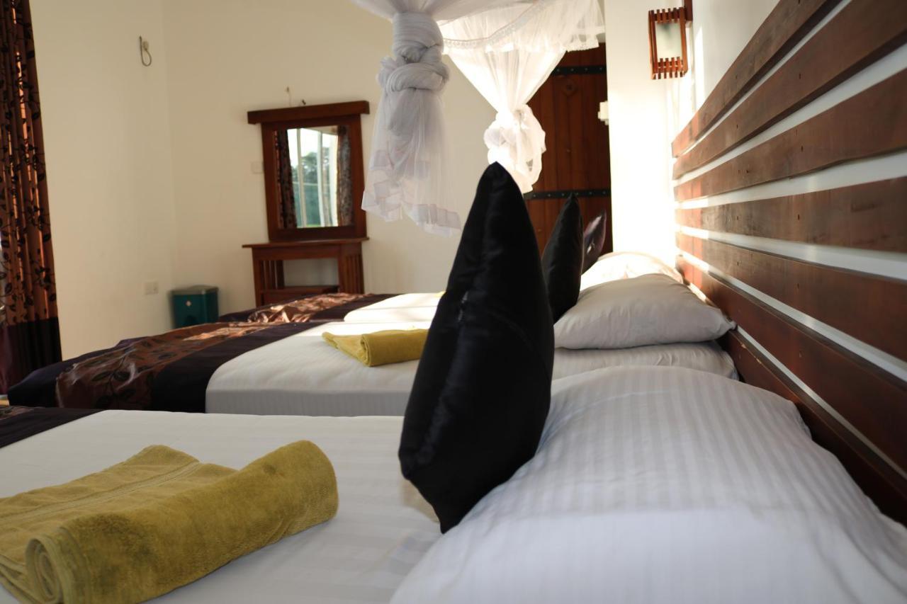 Manel Guest House بولاناروفاي المظهر الخارجي الصورة