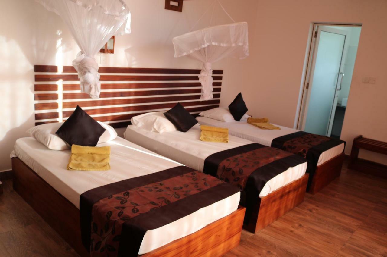 Manel Guest House بولاناروفاي المظهر الخارجي الصورة